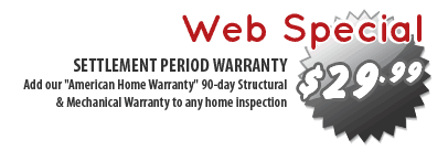 Web  Special $299